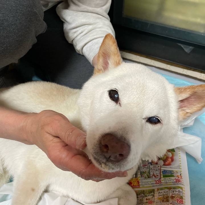 2ea7330f dbd7 443b 88f9 c1df64522a4c 1651924718495