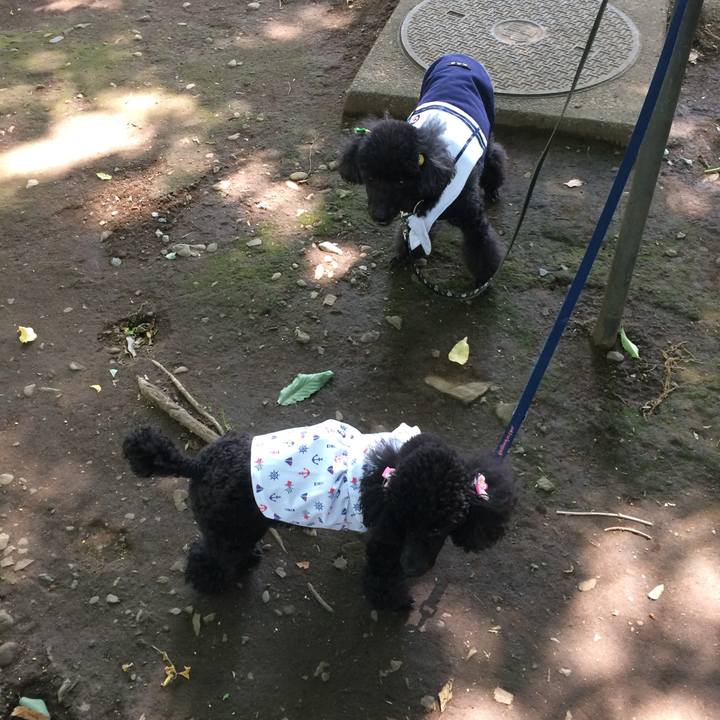 2ea73e53 ce9c 4743 9a91 deb9c5fbd708 1560824288042