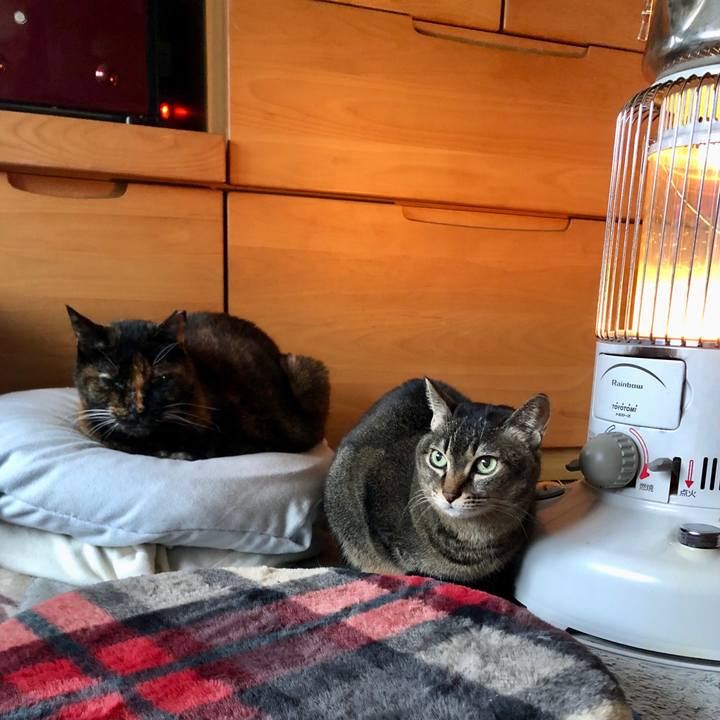 2ea7514c 3cd5 4d4a 9692 4b25ae340652 1674875773532