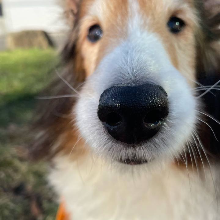 2ea769a1 1a3b 4583 9de8 a65cbce008f0 1639391547200