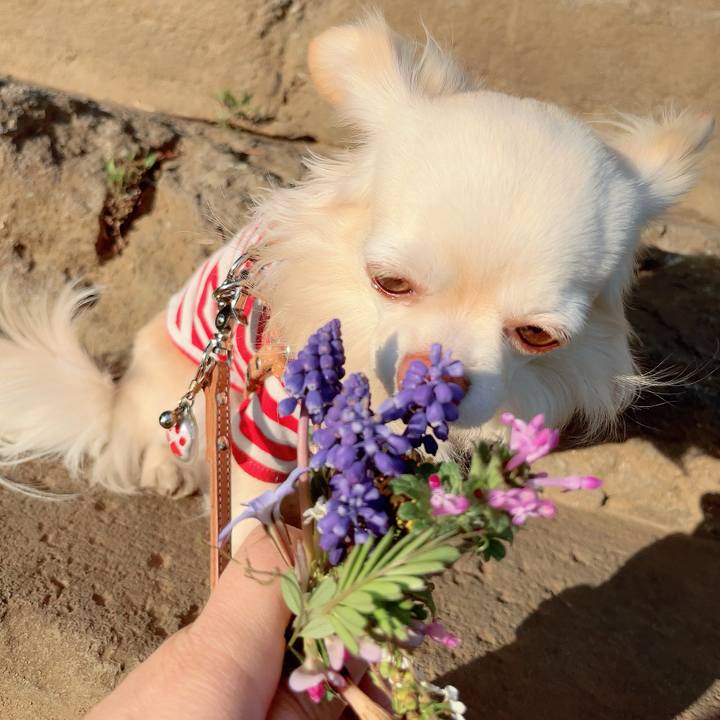 2ea77a7e 1f07 4851 bfb5 13ae2ce4c334 1711100214831