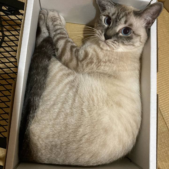 2ea78c7c 419d 407e bfad 3fed74eaef90 1597145791261