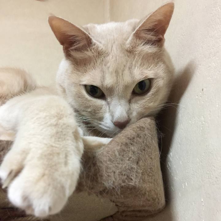 2ea7b02a 657d 400f b285 3df022b10e68 1575887729912