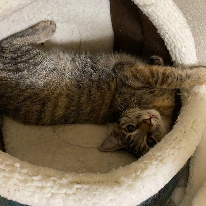 2ea7b5b7 10d5 4f23 8e38 d9e98162d1ad 1605573608310