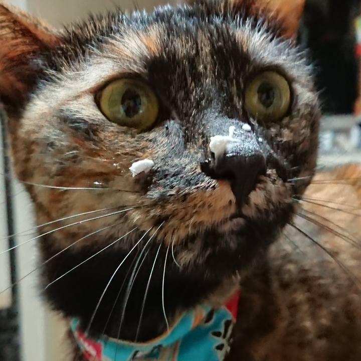 2ea88fd5 33b6 4e85 8dd6 083afba0db23 1590995289397