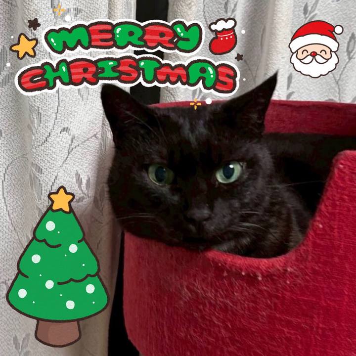 2ea939e7 2e52 448f 8274 8ddee6852c86 1766524014495