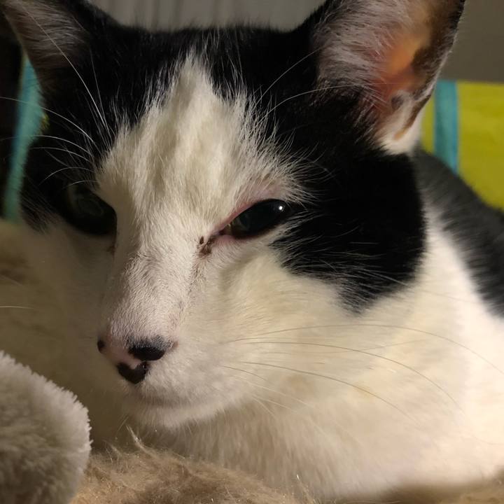 2ea93b4f 5a65 4754 b780 e6680f461827 1548345891030