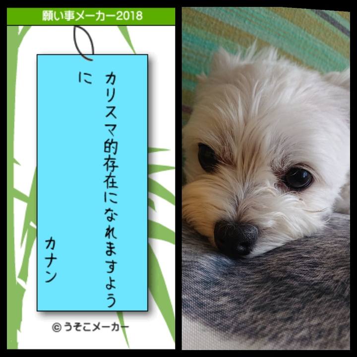 2ea94a8d 76a1 4237 af92 59249d3e49cf 1530944941728