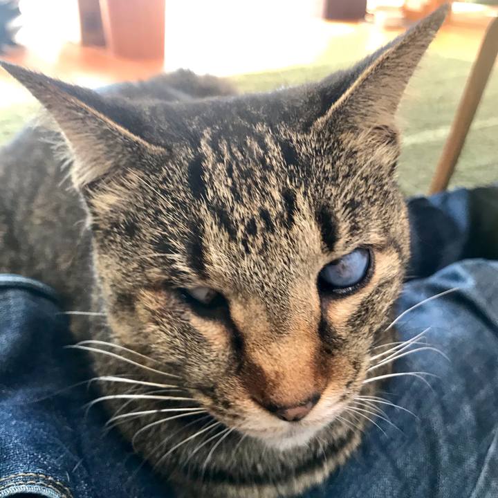 2ea958a9 df2f 4201 a5a4 ceac85de3b75 1610795133577