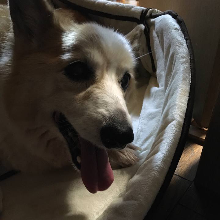 2ea96325 98f2 4052 a96b b2a5e04559fc 1576109462039