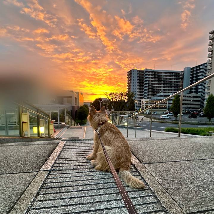 2ea9aa87 b2fa 455c aed5 4ced5c4c42c4 1729675636064