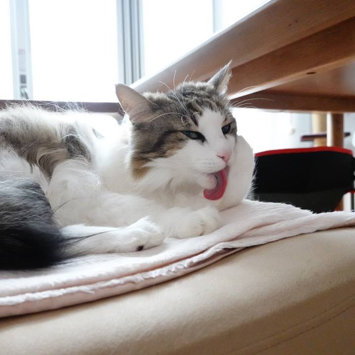 2ea9da87 27b0 4242 88ac 2c08a7d31f76 1593581058128