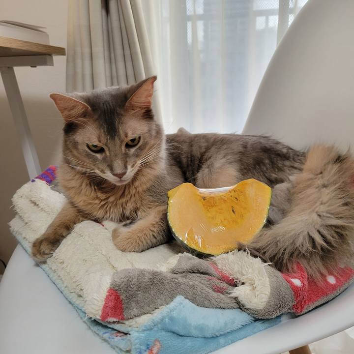 2ea9df8b afa2 4f84 8a31 05921ac61e72 1635727927762