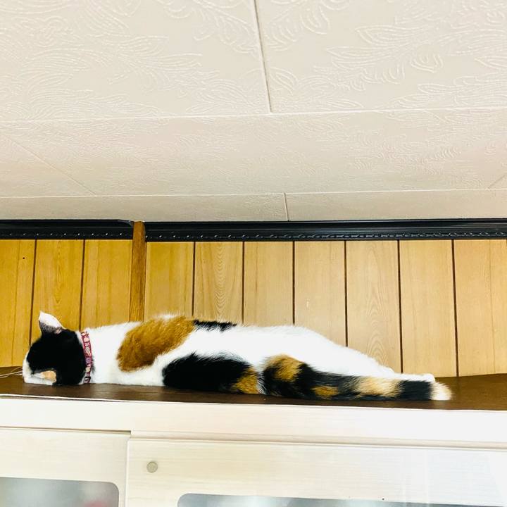 2ea9ed56 ca11 43ee b350 8770e05108a0 1663279309823