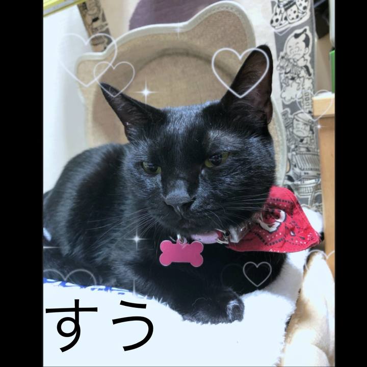 2ea9edac caa9 48c1 a109 a256f5aa4de6 1769866877207