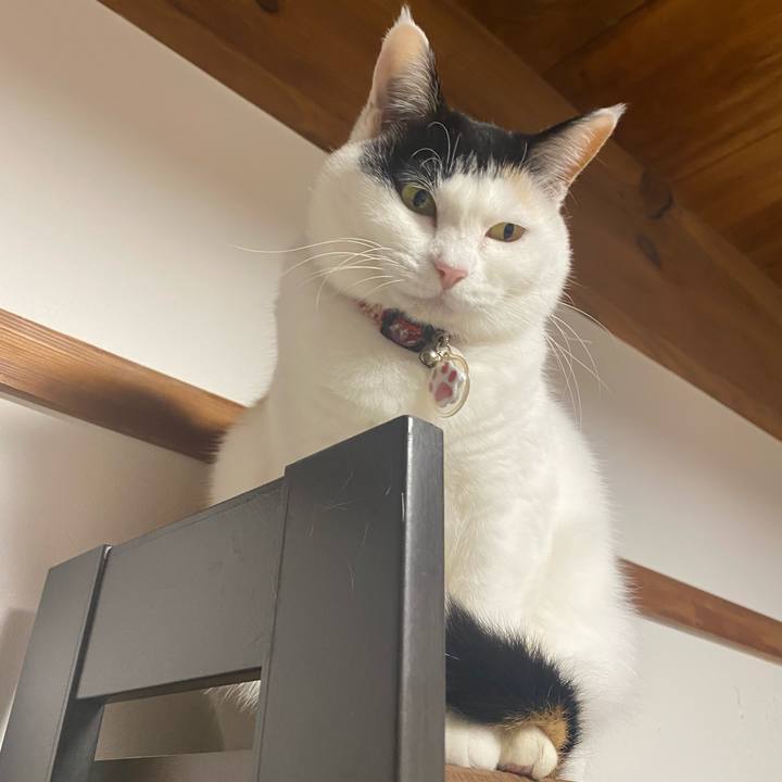 2eaa8fa8 65b8 43ec 8d53 92a1c2789899 1742041292624