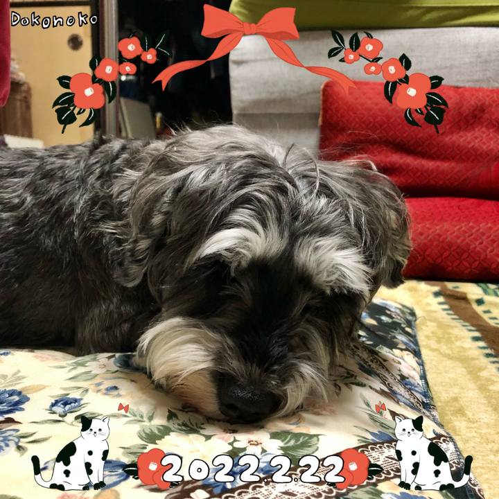 2eaa9939 6ef9 4229 9450 b6a2fff7c69c 1645528723135