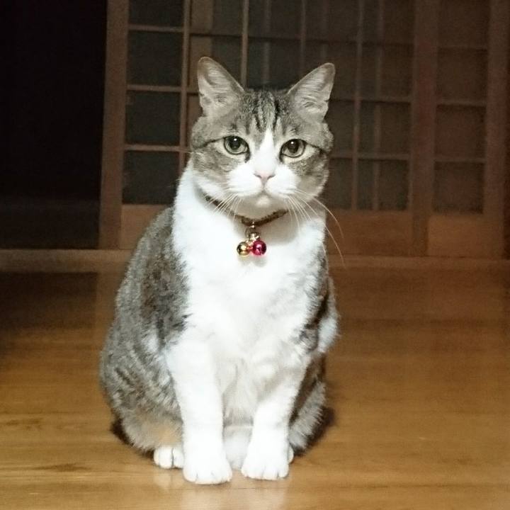 2eaac99f c341 4d23 aa65 97924ba57061 1558525784565