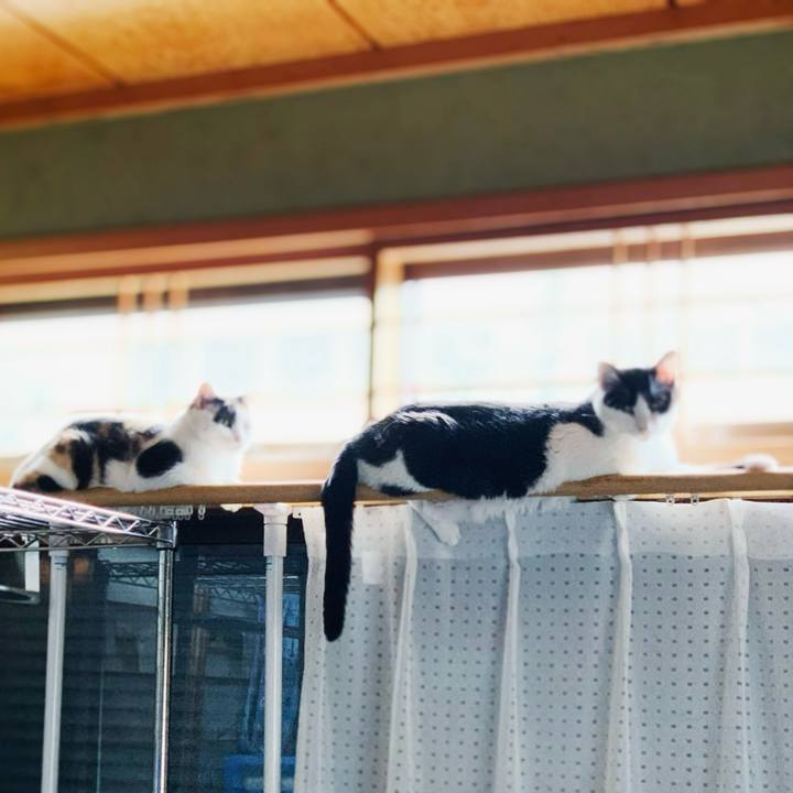 2eaae114 164b 450d a635 de7791b5bb1e 1599704105090