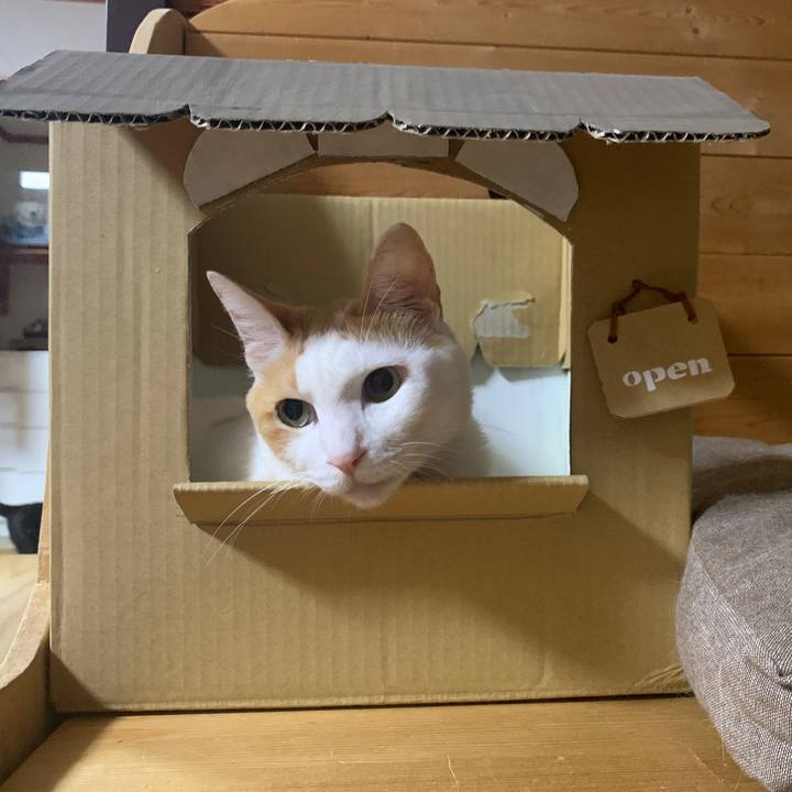 2eab37a2 a111 4e8d a1f9 8de43fe6668b 1659619561563