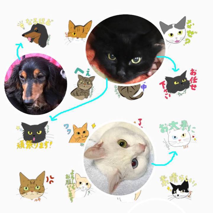 2eab3fa2 cc36 4f84 8999 70b69b50aeec 1549622037466