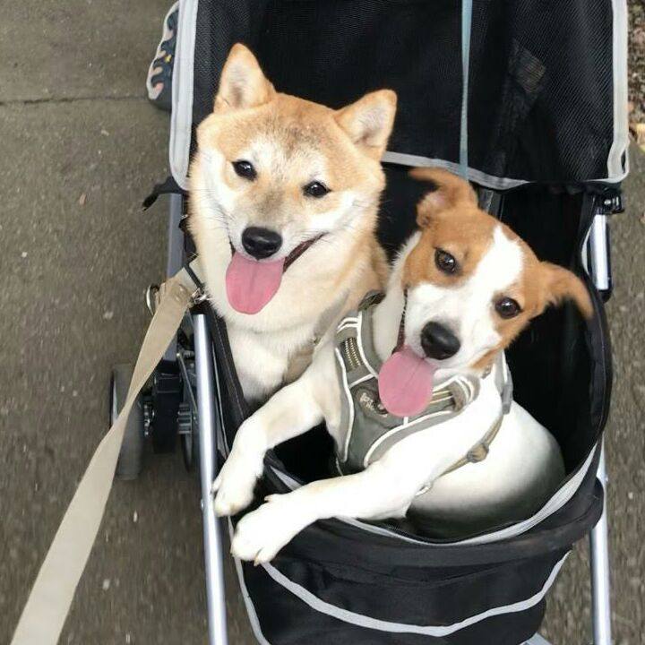 2eab641a 8da2 4c3a a4fc 05e125445018 1565840919854