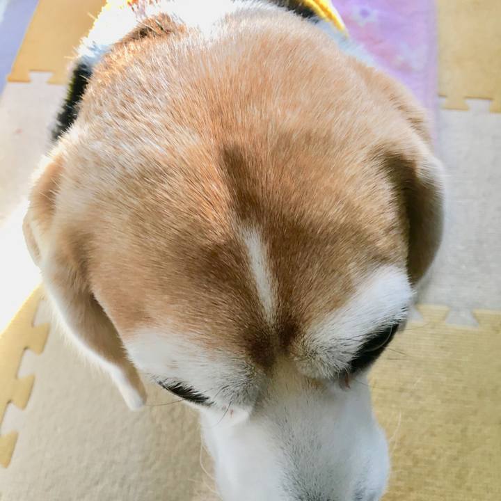 2eab7e6f 5029 46fb 84a5 d3efb4d5253d 1547881238729