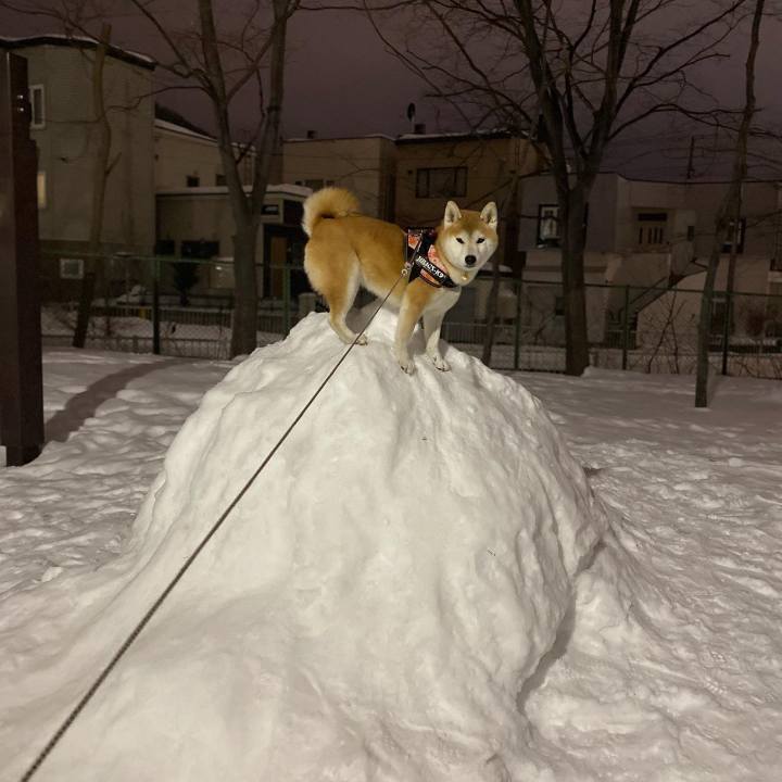 2eab8bb3 8456 4704 b7b5 e6649f3913c8 1611580640162