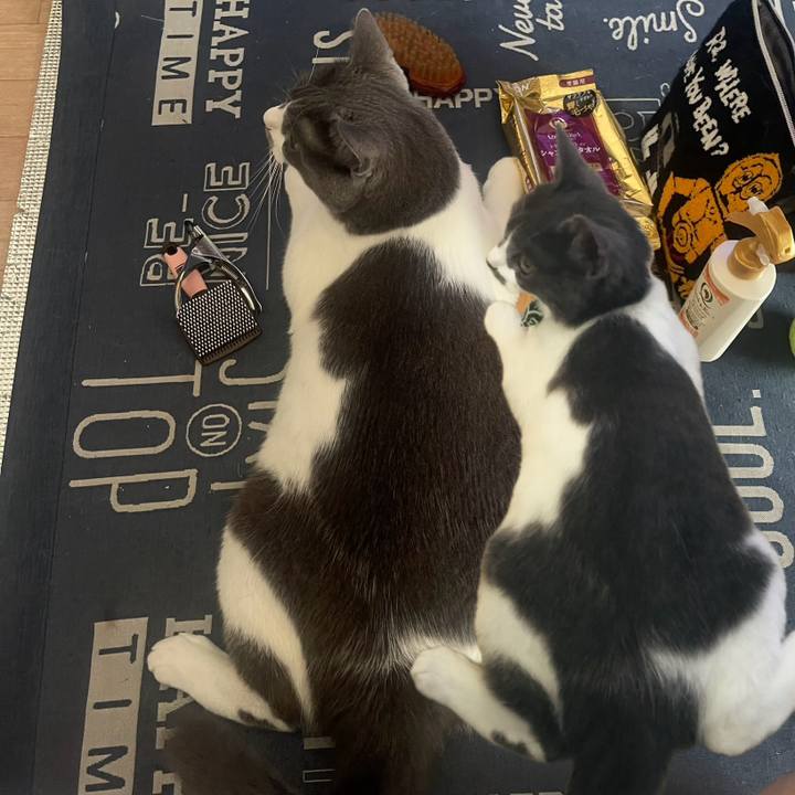 2eab929a 6dea 479b aac4 ca9e426d865b 1727606258447