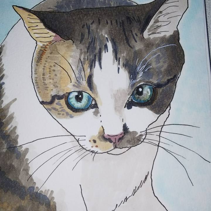 2eab9483 2f05 465f 9424 9cd7c5c6d529 1533457427414