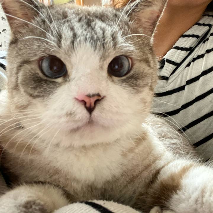 2eabb179 1da4 44d1 8f88 1e1a7a210033 1599278854167