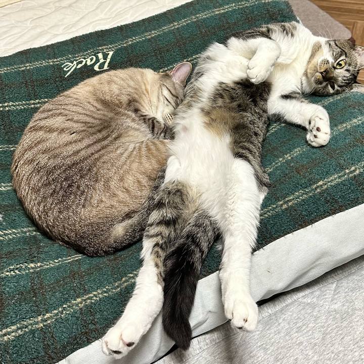 2eabccfb cd17 4aa8 9a69 14fc24c6b99d 1667734668103