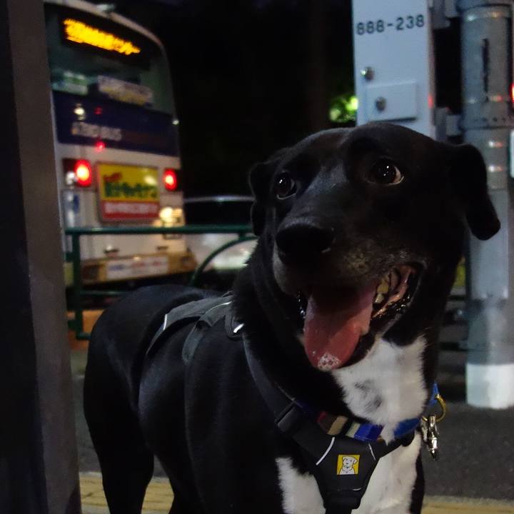 2eabd479 4a64 4959 8771 7722764bcaee 1662634671139