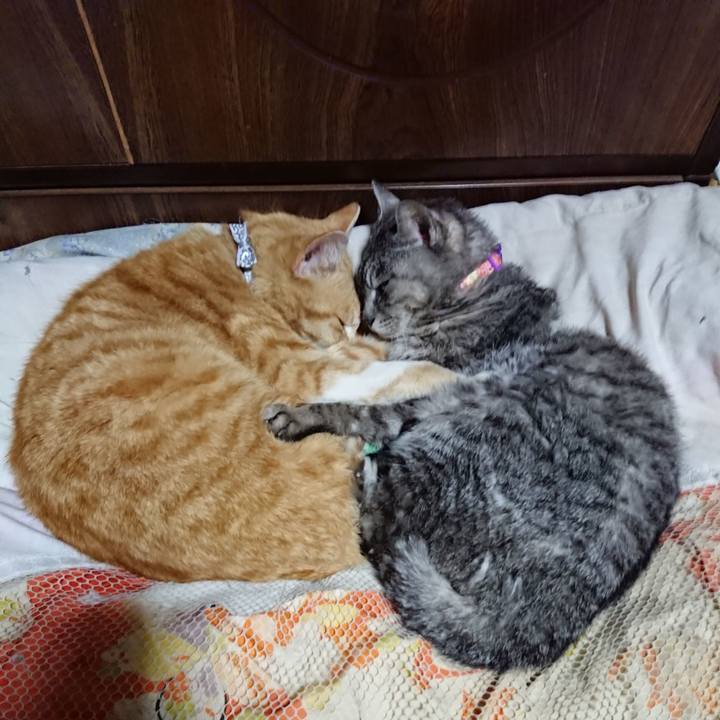 2eabe367 0ee8 430b 97a9 50d2b2581ee6 1587386863701