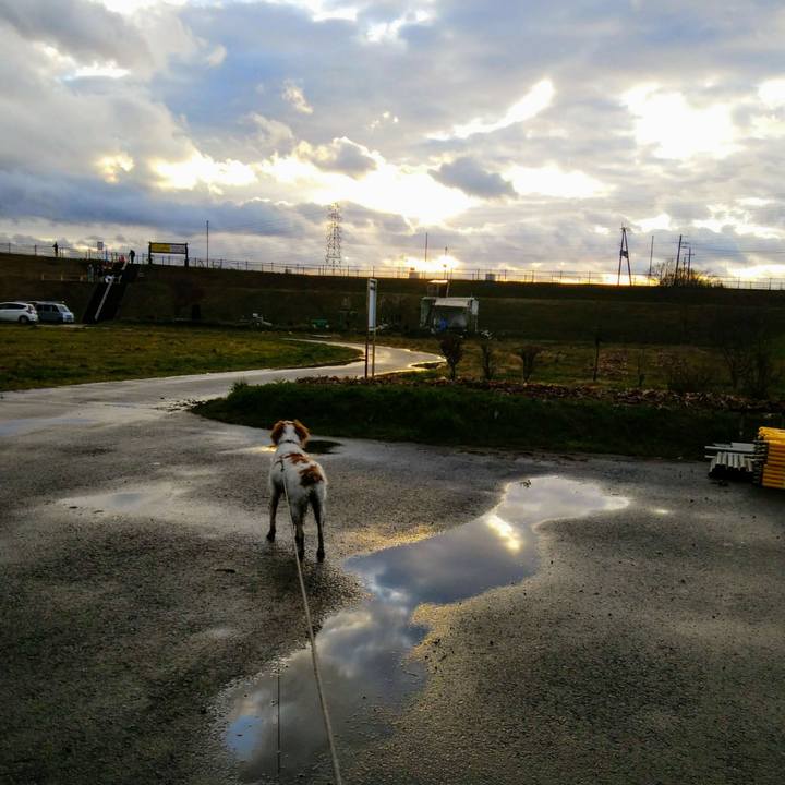 2eac1133 7ecc 4e83 8641 e1b0edc2e8fc 1551700066084