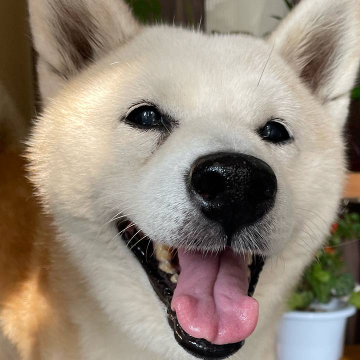 2eac4549 cfe2 4a95 b25b a4a468fbf3f9 1694262820990