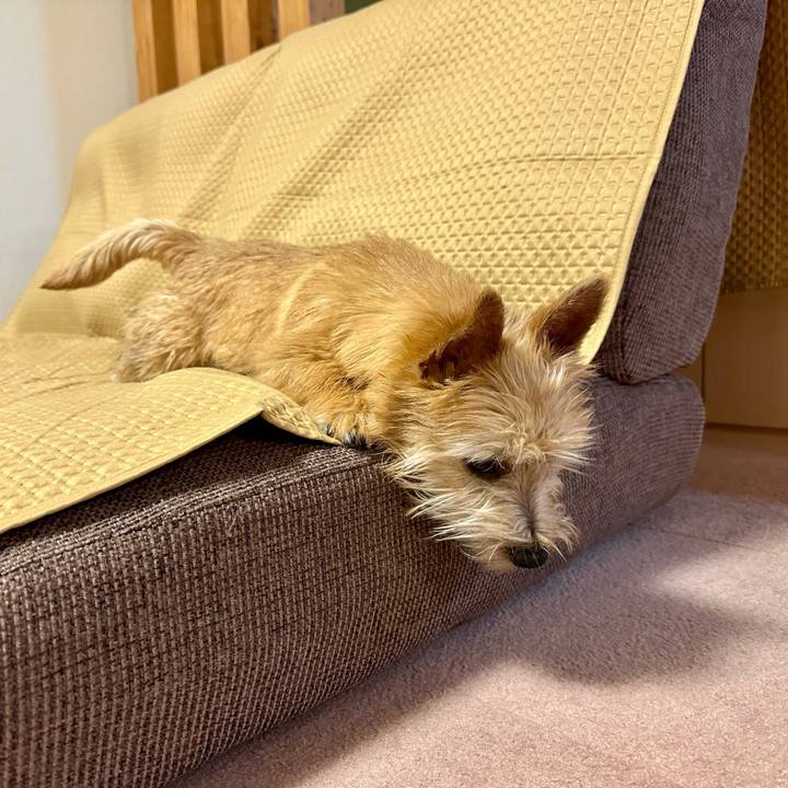 2eac5726 de9a 4cd3 af7a a0fed973d09f 1708870006689