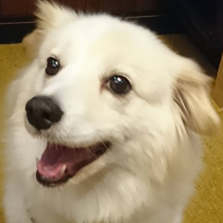 2eac6d13 ac5e 4e99 b0e3 eab4095e285f 1555672843883