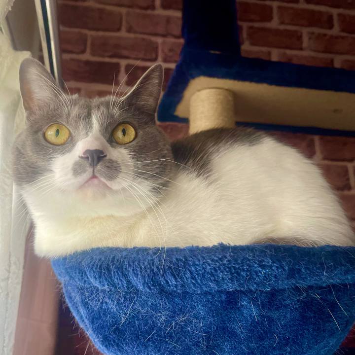 2eac8722 0509 4c6a a9d9 63219cf3b42d 1635643445239