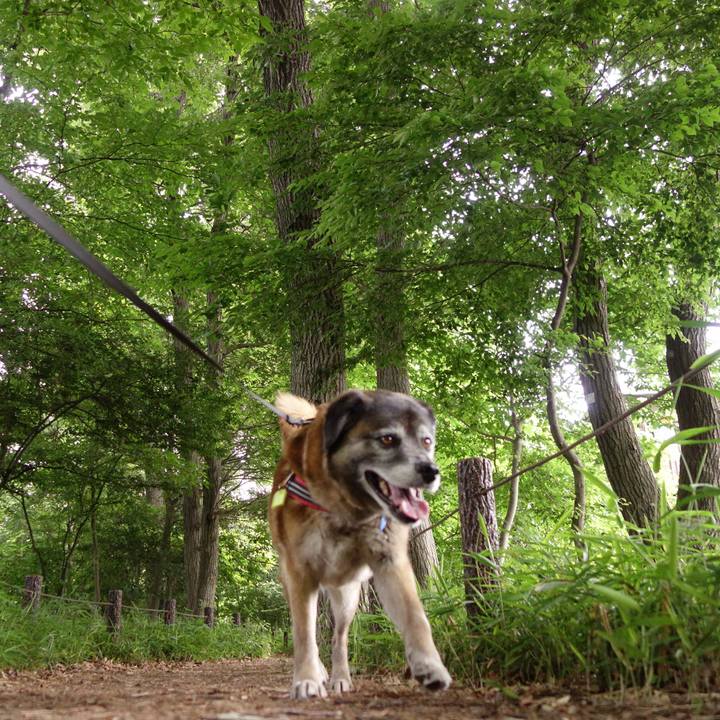 2eacac7b cf6c 4e44 abae a9a5167ae307 1527037031811