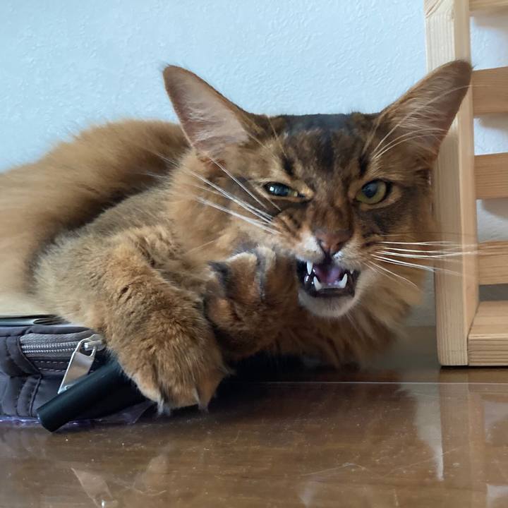 2eacc27a b2d2 42ef 9f58 4da71026c530 1624780280311