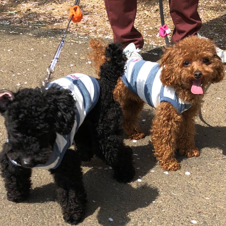 2eacff61 5d96 4358 ba37 204f9a96ada1 1522549735419