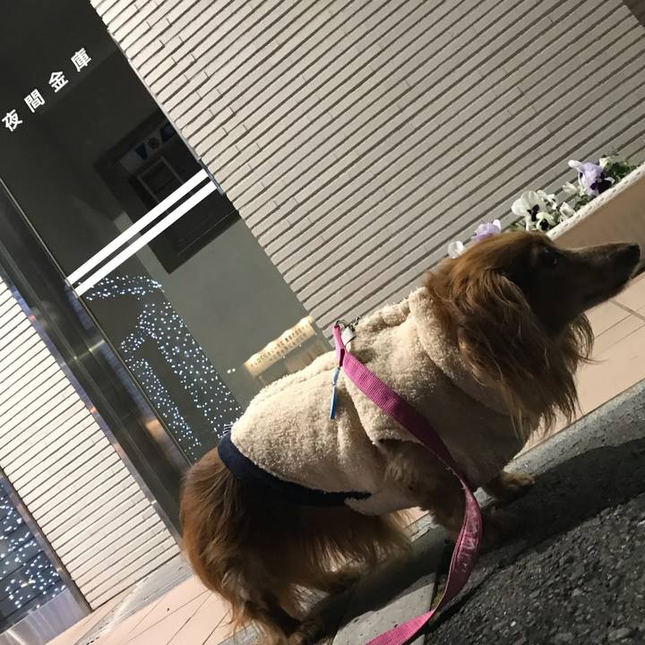 2ead1ab4 a043 4f39 a8c6 e09b0810a197 1576581604306