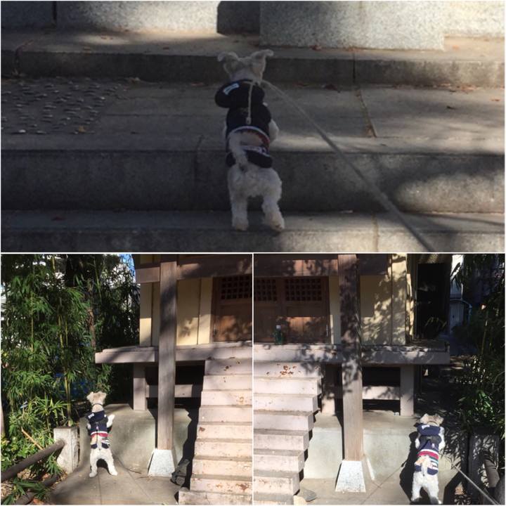 2ead9bbe a07d 4f92 8e05 30419d3b981a 1514971466240