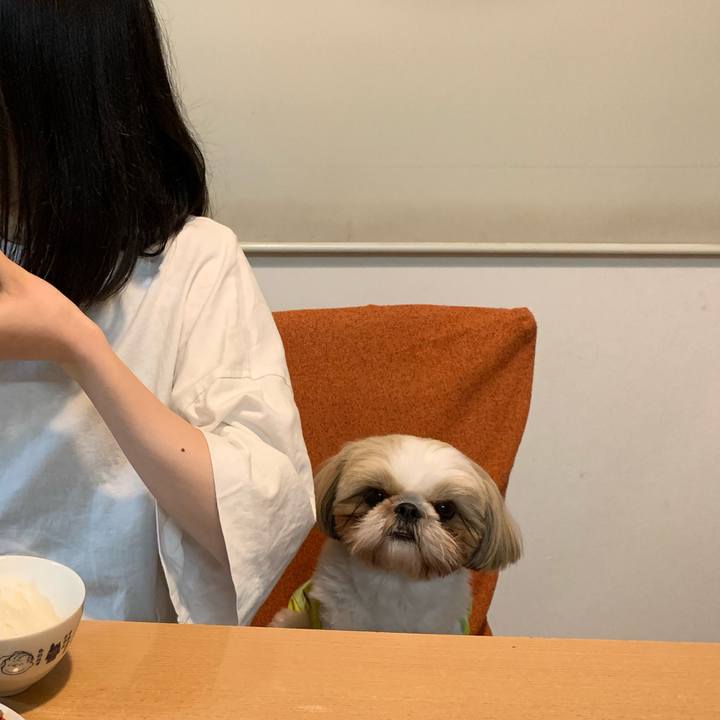 2eadc29f 50ab 46b1 a866 fcbd08bb5812 1588851110522