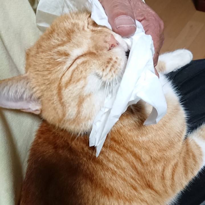 2eade1d0 3de4 49e8 9d81 88253d91024b 1603402795067