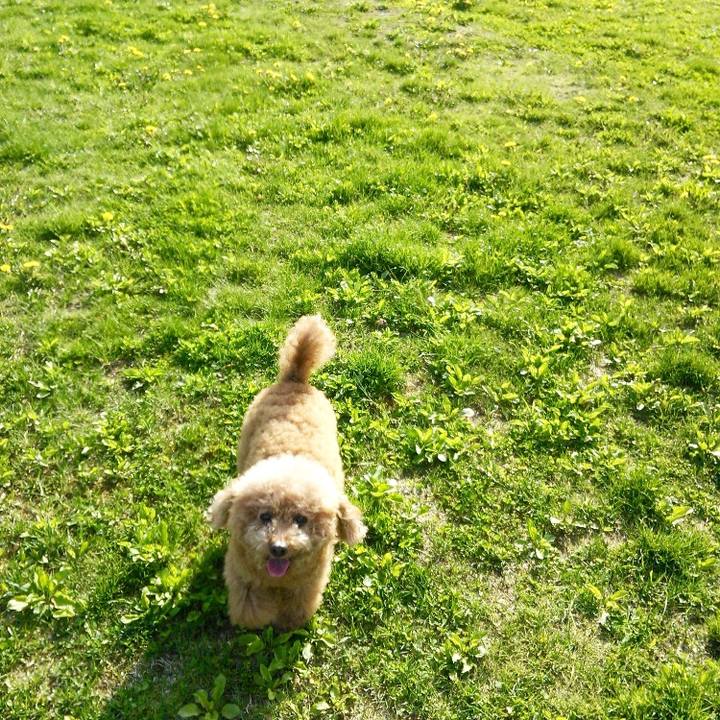 2eadf26b 1bf4 4df9 bc5a 2b929813a6bc 1530790601639