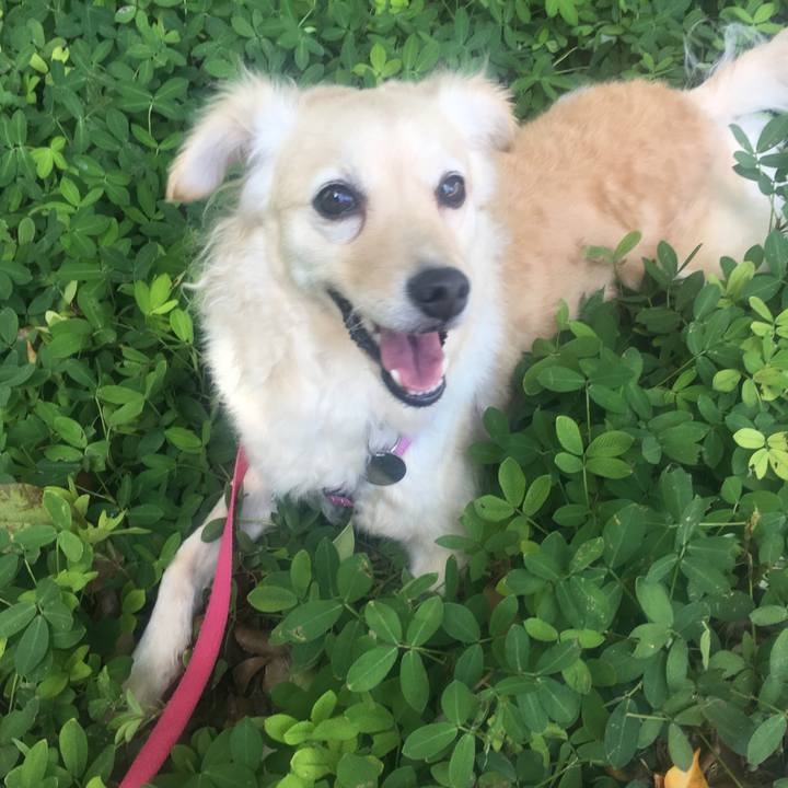 2eae6907 eb79 4269 a8b6 4cb99ef407cf 1554422748297