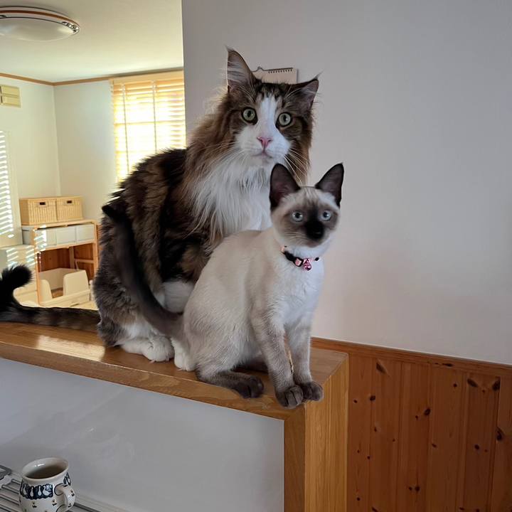 2eae7a80 e9f5 4c2d b8f5 ec672d792b2b 1693730461930