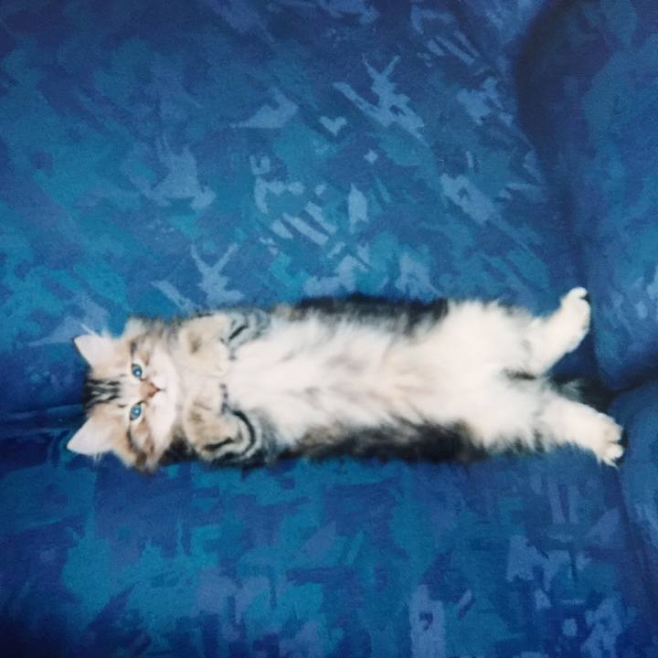 2eaf077d 46d3 47b3 a7bd e5d31870caa4 1558740329661